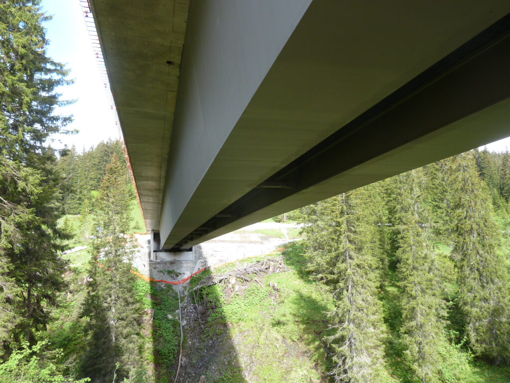 Unteransicht einer Brücke mit Betonpfeilern und umgebenden Bäumen in einer Waldlandschaft.